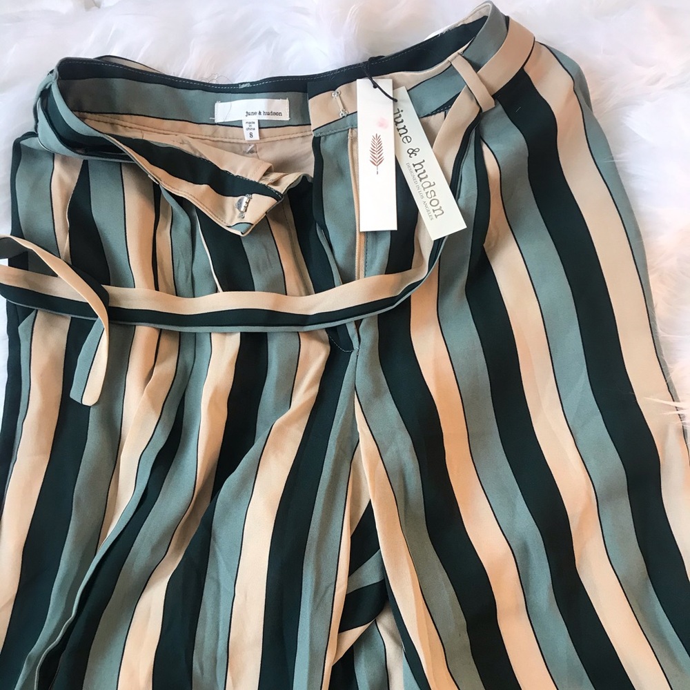 NWT Striped Pants